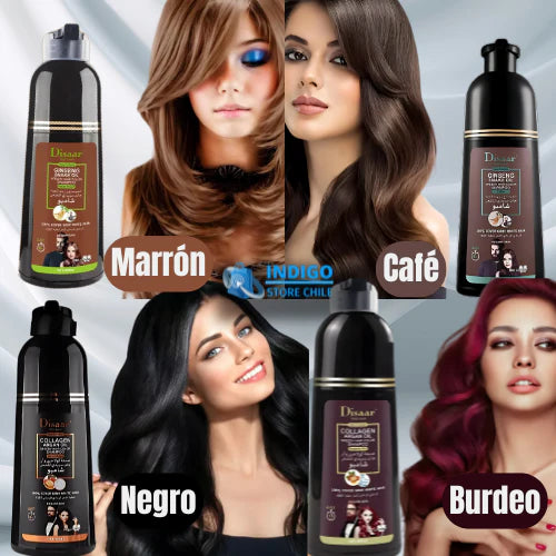 Shampoo Disaar Unisex 400ml – Cubre Canas en minutos, Sin Químicos.