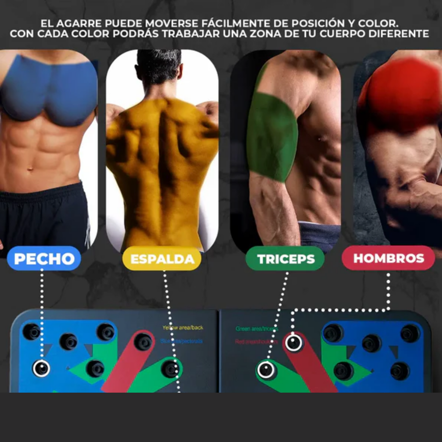 Tabla push up + 2 bandas